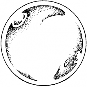 sphere