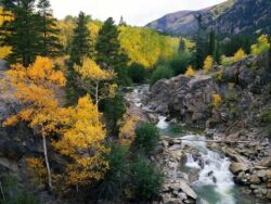 Twin Crossings Extra Content #6 Vikmordere Valley in Fall