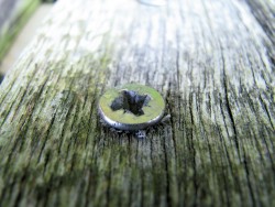 Not Everything is as it Appears to Be Spax_Screws