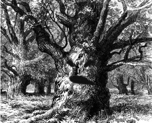 tree creature