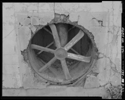 Trap Tuesday (Uralicans Uncut); Gravity Still Sucks Fan