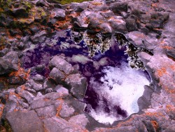 Awake in Alucinar: Metallic Puddle metallic puddle project file