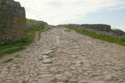 Between Here and There: Short Encounters for Long Journeys Medieval_road_-_panoramio