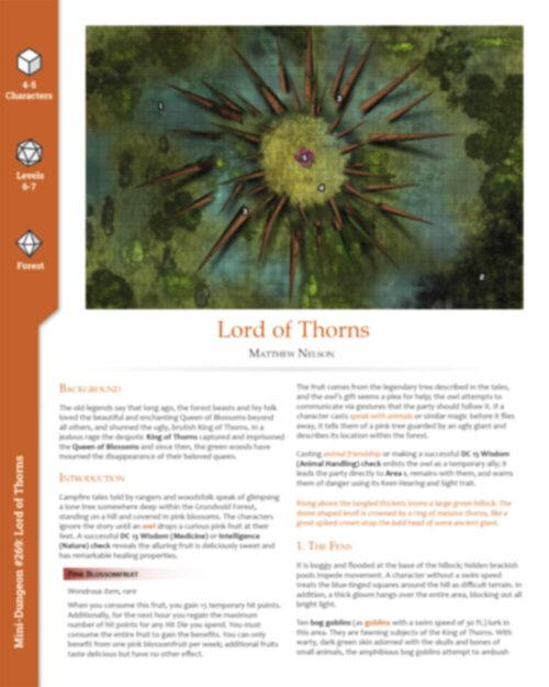 Mini-Dungeon #269 Lord of Thorns - Image 2